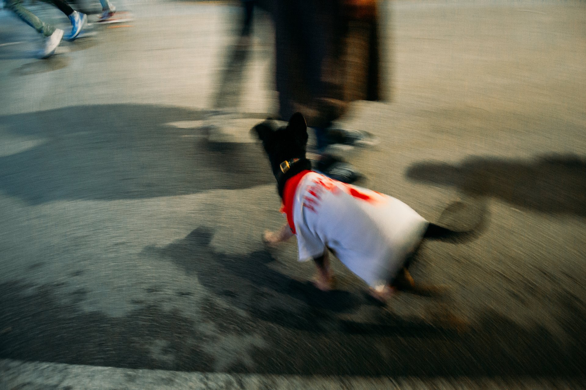 World Cup 2022 Photo 30